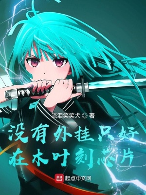 û�����ֻ����ľҶ��оƬ