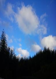 ����а��