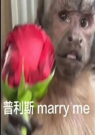 ���ҳ��٣�nph��