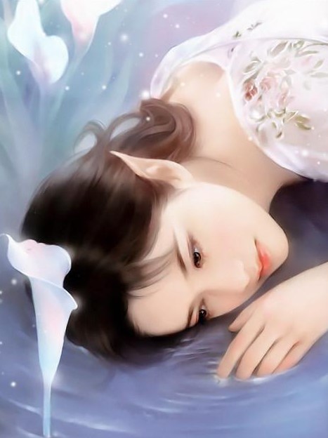 ��������:���ؿ���Ȣ����