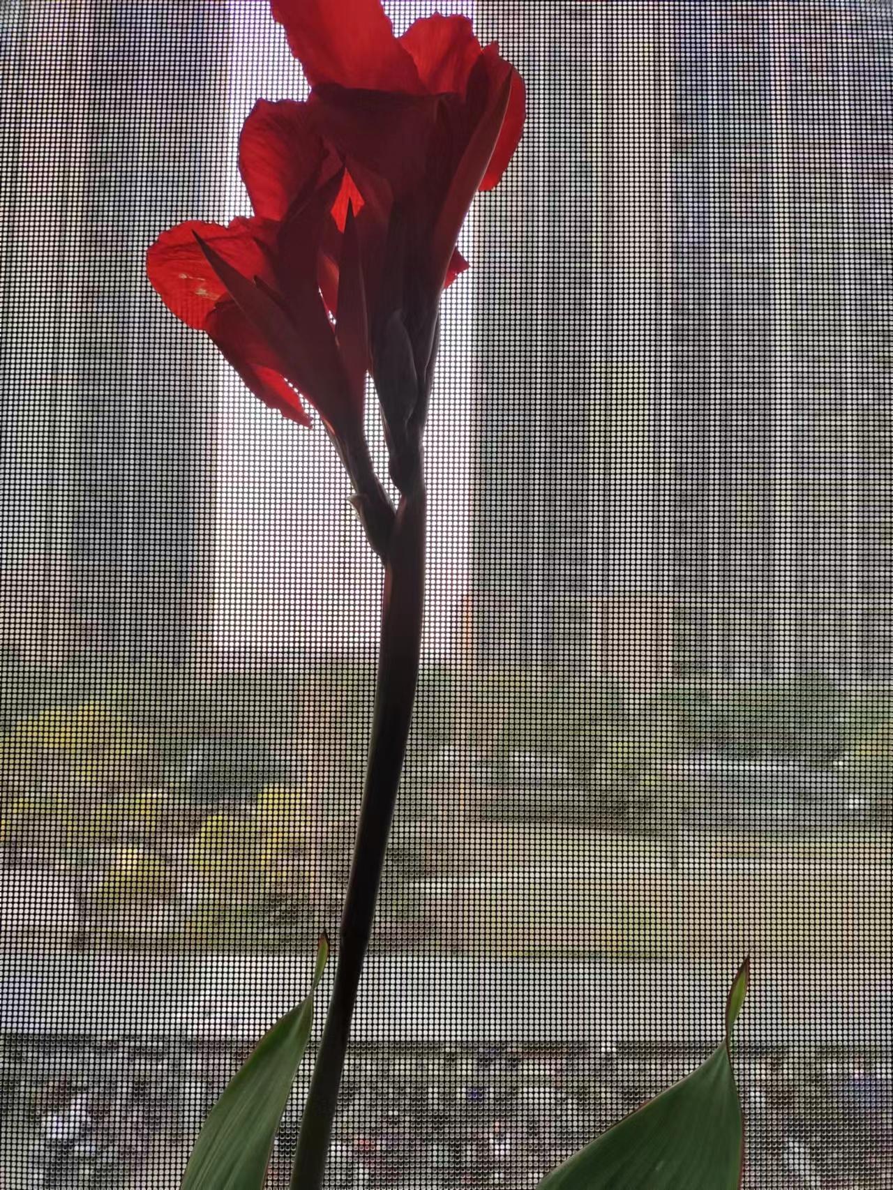 ׷������