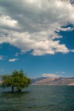 ��������ļ�