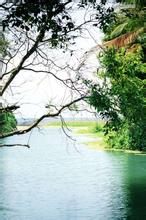 ���ݿ����ļ�