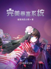 ��������ϵͳ