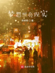 ����������ʵ