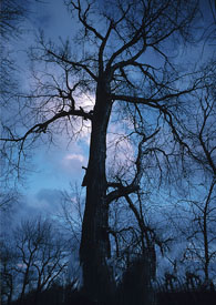 �Ҵ�Խ�������������ý���Ʒ���������һ�٩�����֪