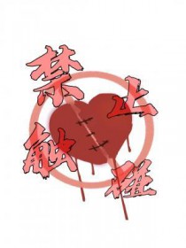 ��ֹ����