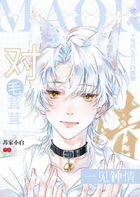 ��ë����һ������