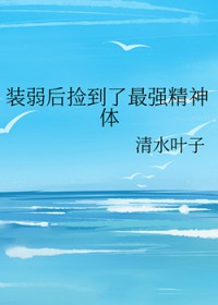 װ���������ǿ������