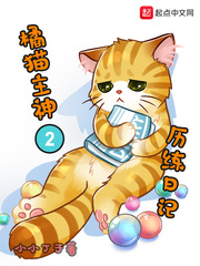 ��è����������ռ�