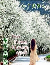 �滨�ֿ���