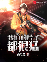 ���ĵ�Ƭ�Ӷ�����