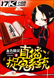 ֱ��׽��ϵͳ