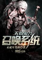 ��˫�����ٻ�ϵͳ