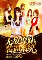 �޵�����װ��ϵͳ