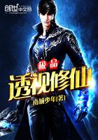 ��Ʒ͸������