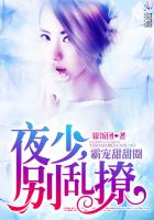 �Գ�����Ȧ��ҹ�٣�������